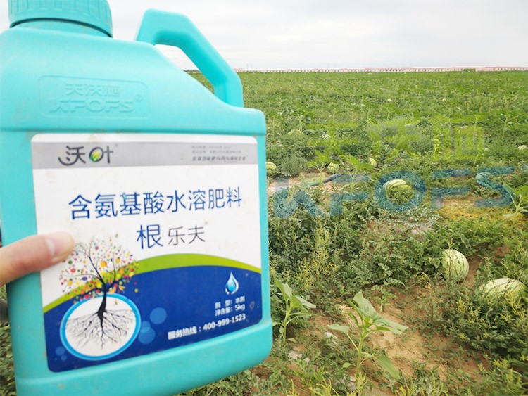 西瓜用什么進(jìn)口水溶肥好？