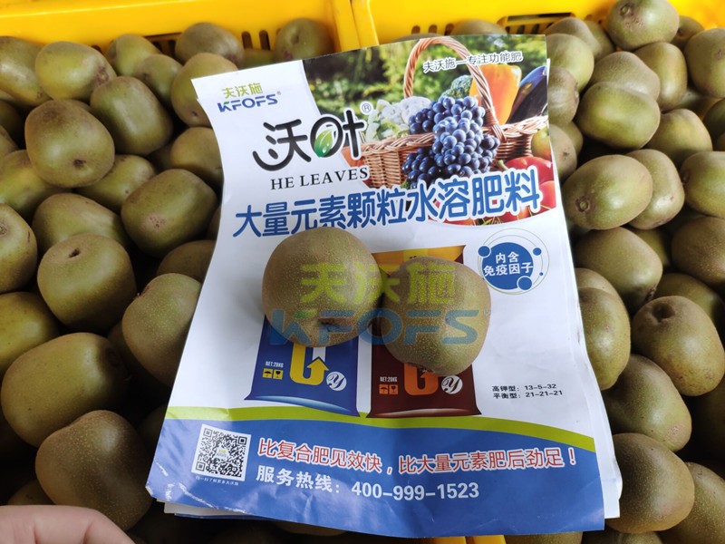獼猴桃用哪款顆粒水溶肥產(chǎn)量高？