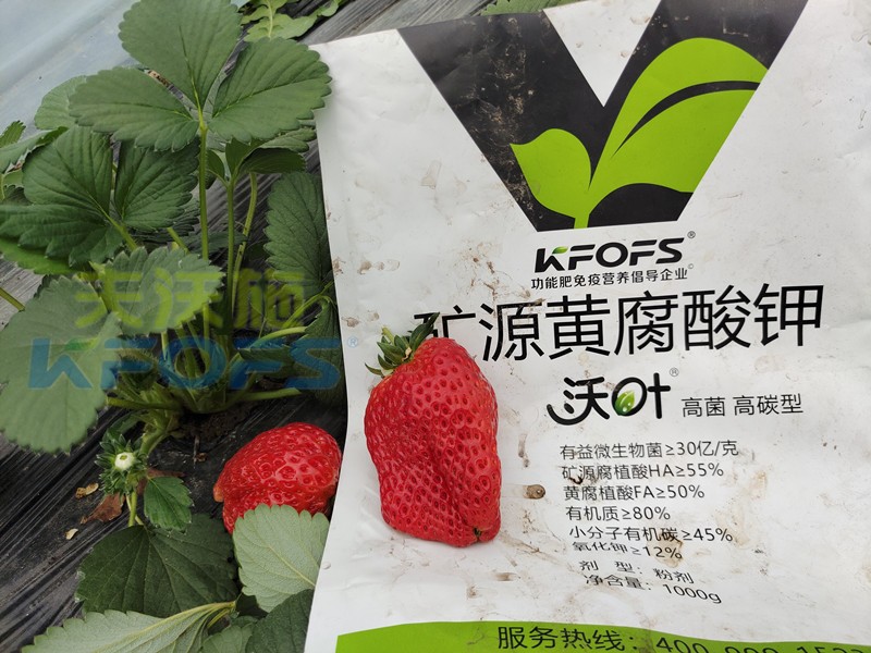 礦源黃腐酸鉀應(yīng)該怎么用？對(duì)于什么土地有效？