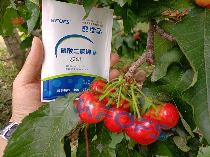 磷酸二氫鉀的正規(guī)廠家哪個(gè)好？這些方面要記牢！