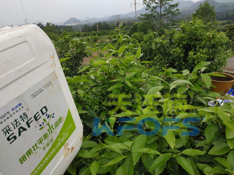 水溶肥的合理價(jià)格究竟如何判斷？這幾點(diǎn)很重要！