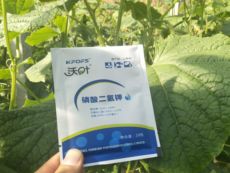 夫沃施離子磷酸二氫鉀，效果看得見！
