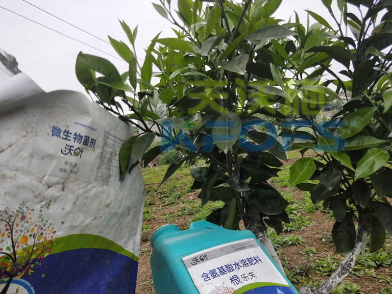 春季果樹(shù)用什么肥料好？看看您用對(duì)了嗎？