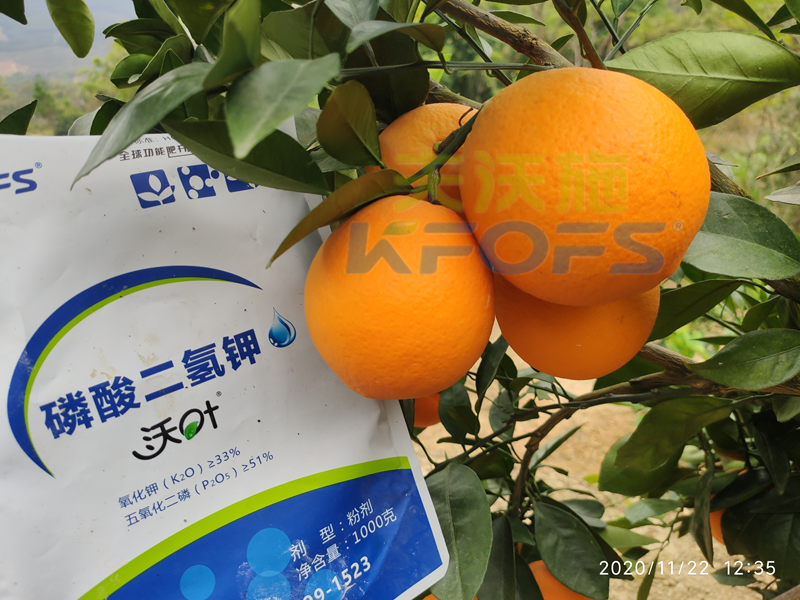 水溶肥市場雜亂無章，種植朋友該選什么樣的產(chǎn)品？