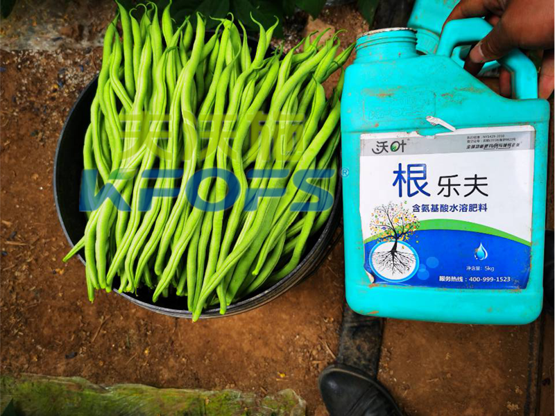 豆角用什么肥料產(chǎn)量高？效益好？