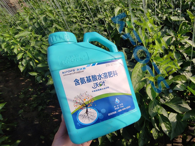 水溶肥與沖施肥有什么區(qū)別？