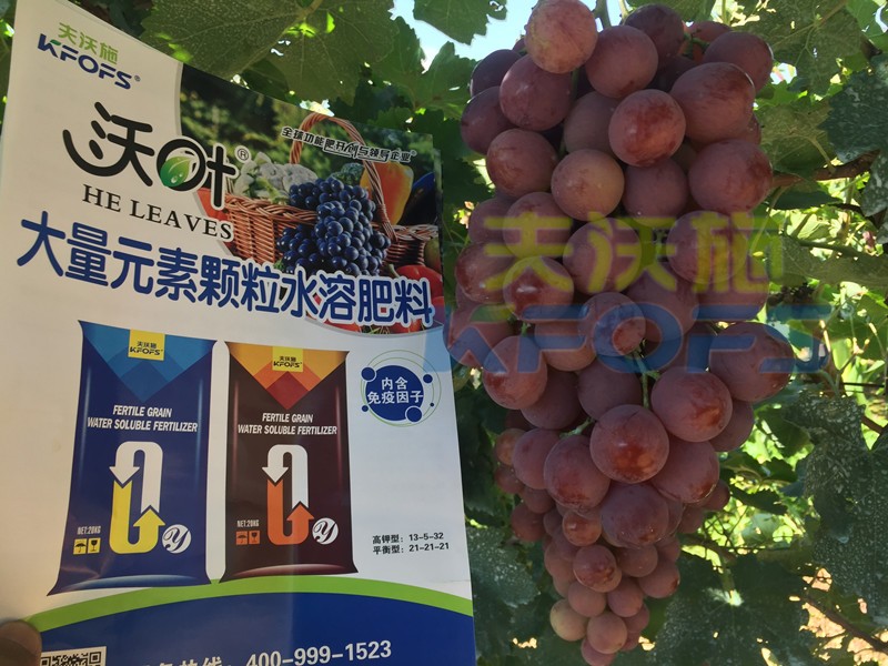 果樹沖施肥怎么樣沖，才能有好效果呢？