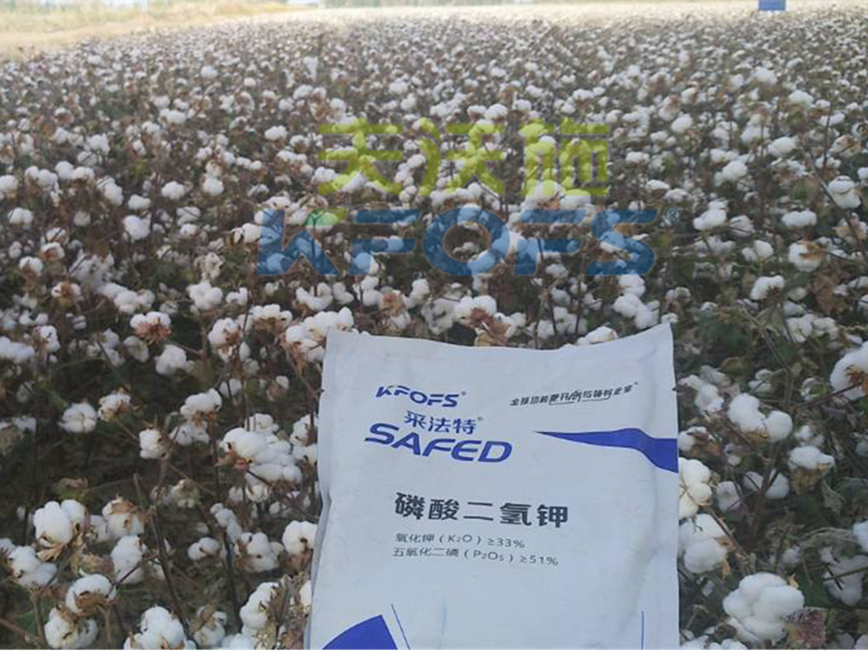 水溶肥哪家好？楊老板說他只信賴采法特！