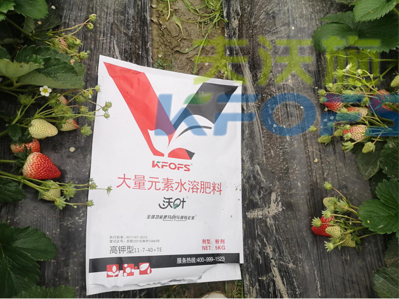 以色列水溶肥是如何打造綠色生態(tài)有機果蔬的1.png