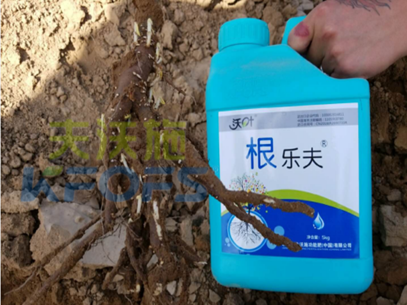 水溶肥越來越難做，他竟然能如此輕松？讓我們一探究竟！