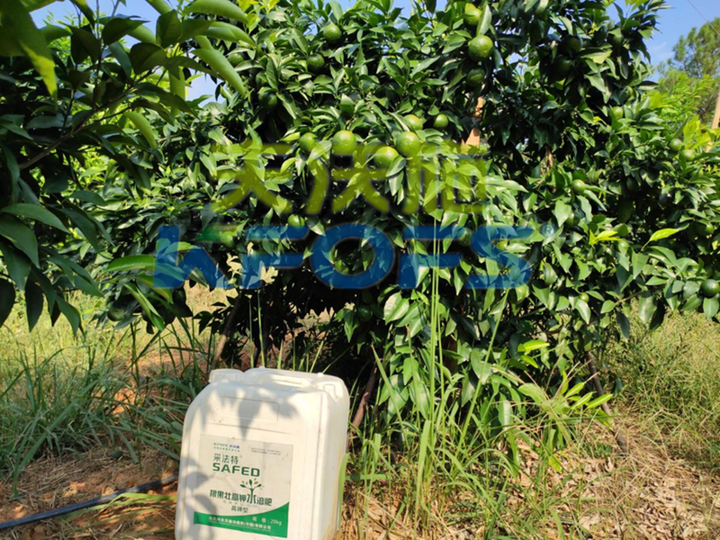 果樹使用哪種水溶肥能安全過(guò)冬？