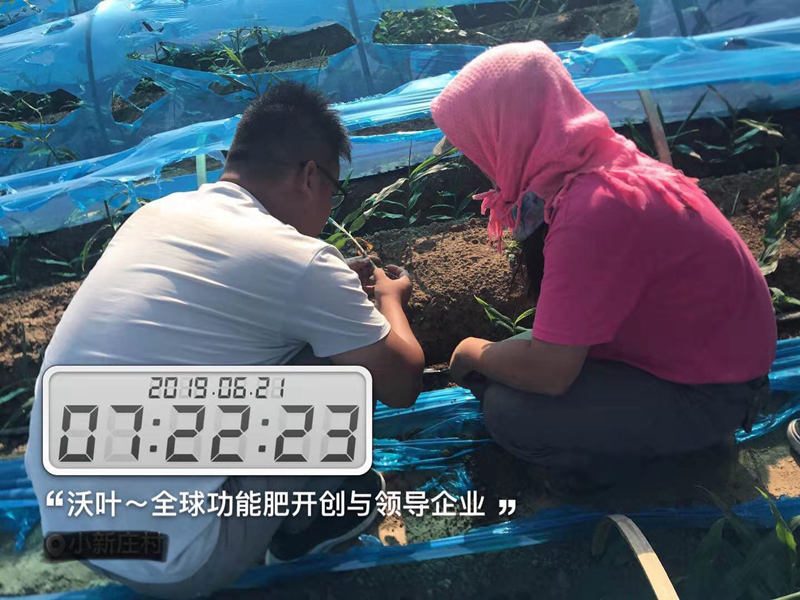 農(nóng)資銷售的堅(jiān)硬壁壘將如何打破！.png