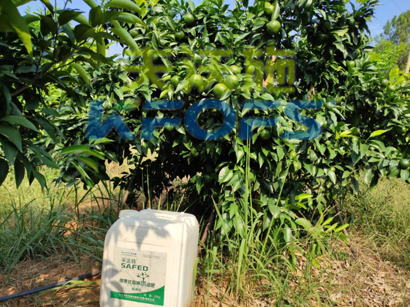 果樹使用哪種水溶肥能順利過(guò)冬？