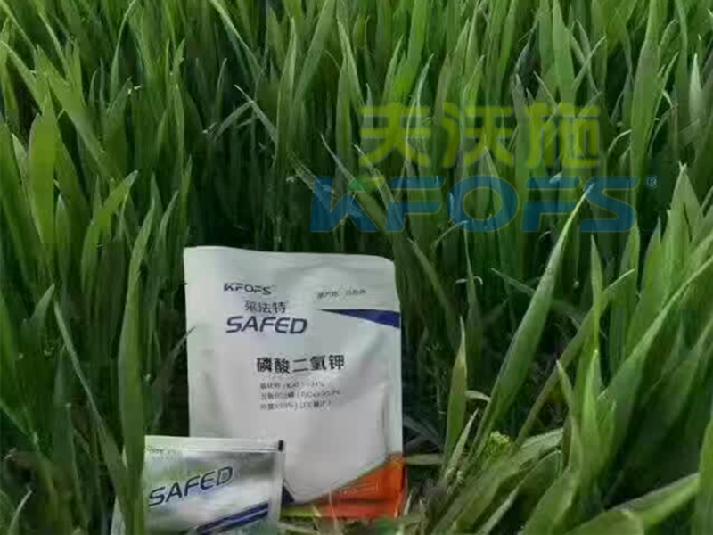 磷酸二氫鉀怎么使用，作物才能長得好