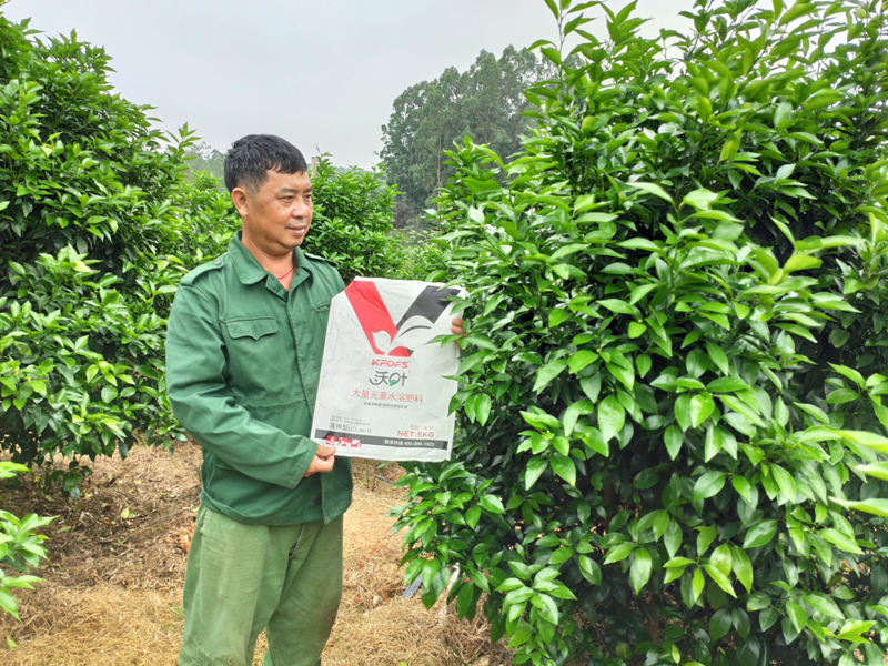 水溶肥品牌的選擇，種植戶有發(fā)言權(quán)