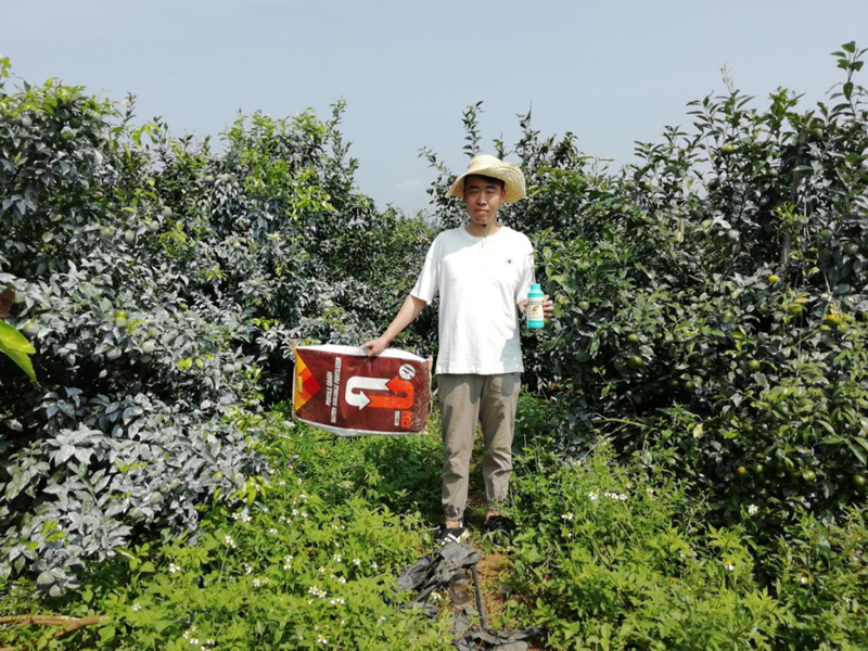 顆粒水溶肥-沃葉顆粒水溶肥用戶見證.png