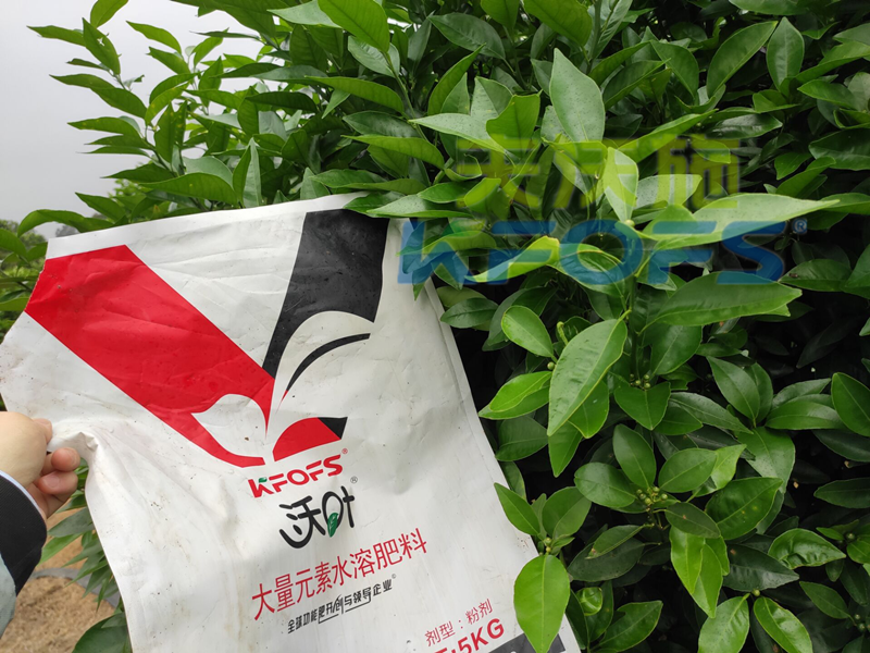 水溶肥的利弊，你了解多少？