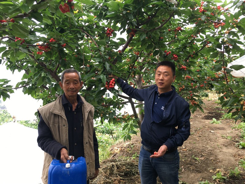 沖施肥市場銷量高的原因是什么？