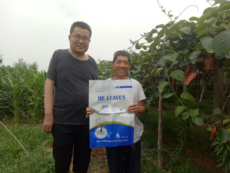 微生物菌劑-獼猴桃沃葉微生物菌劑用戶(hù)見(jiàn)證.png