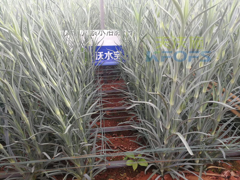 進(jìn)口水溶肥真的好過國(guó)產(chǎn)嗎-沃水寶大量元素1.png