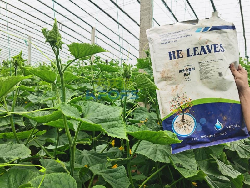 微生物菌劑哪個牌子好？莊總只認可這款！