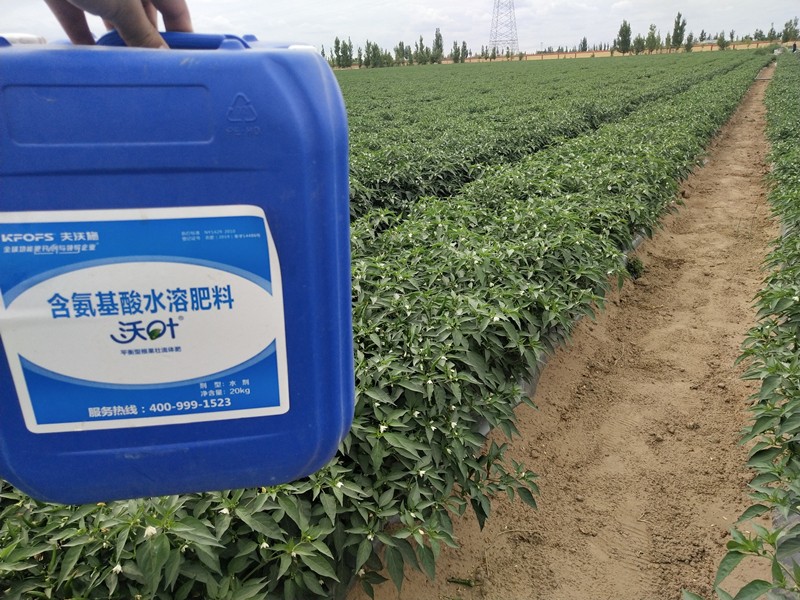 沖施肥的施用技巧有哪些？