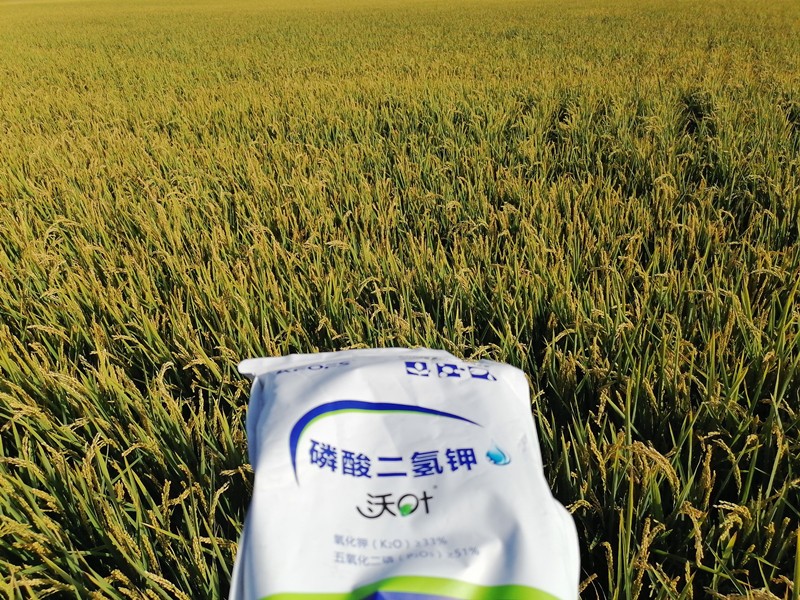 三分鐘看懂磷酸二氫鉀哪個品牌好！