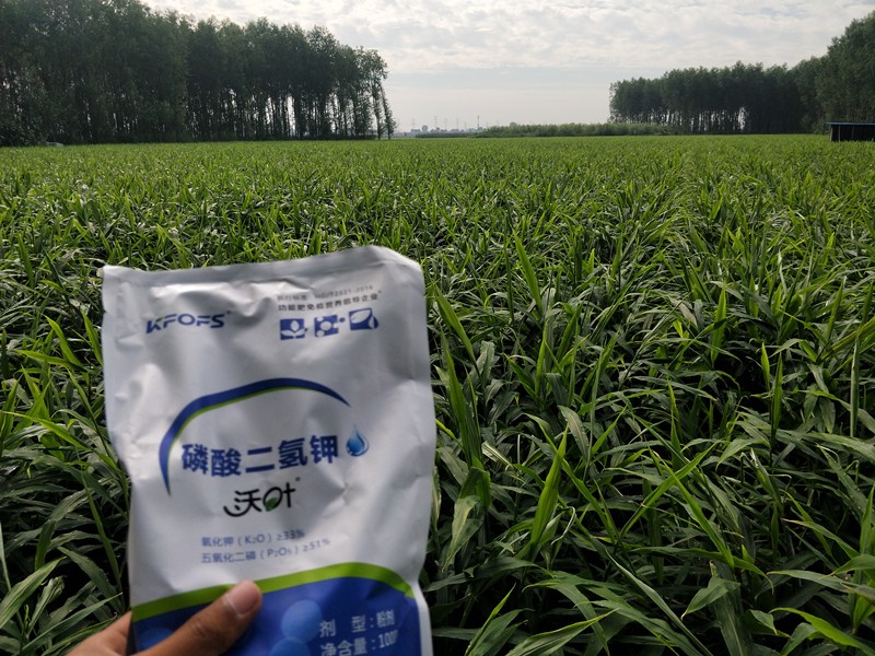 沃葉水溶肥價格是多少，真假如何鑒別？
