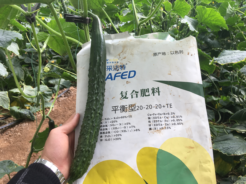 水溶肥和復(fù)合肥到底哪種好？