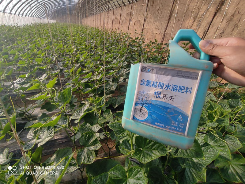 生根劑的作用和使用方法