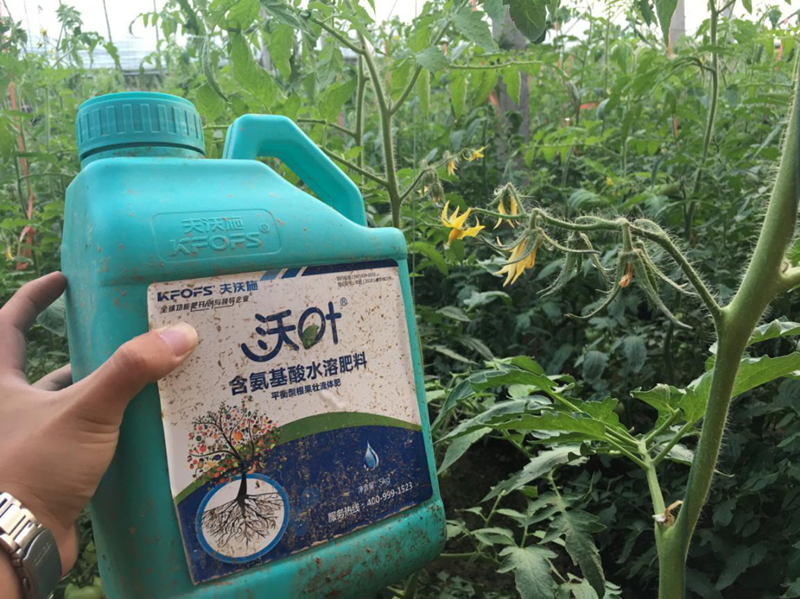 水溶肥如何在冬季使用？