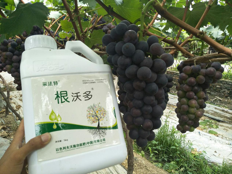 生根劑哪個(gè)好？養(yǎng)根護(hù)根很關(guān)鍵！