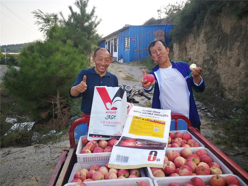 水溶肥如何選擇，果樹應(yīng)該使用什么類型？