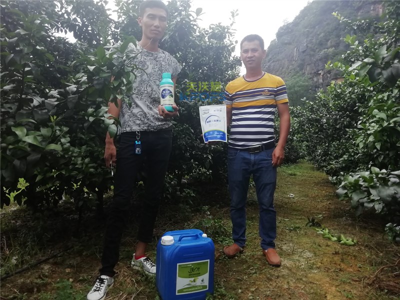 沖施肥在果樹上的應用