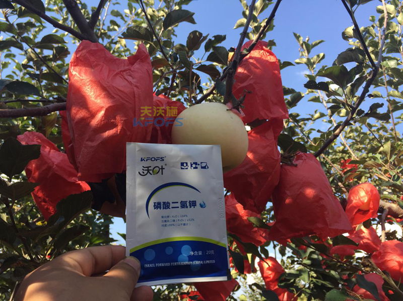 磷鉀肥和磷酸二氫鉀有什么區(qū)別？