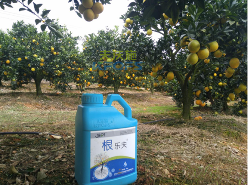 如何正確使用生根劑？