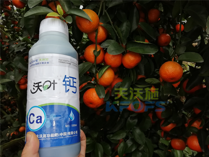 種柑橘用什么肥料好？