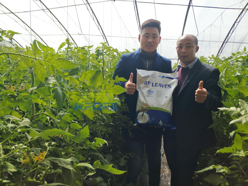 50年后的土壤如何，值得我們深思!