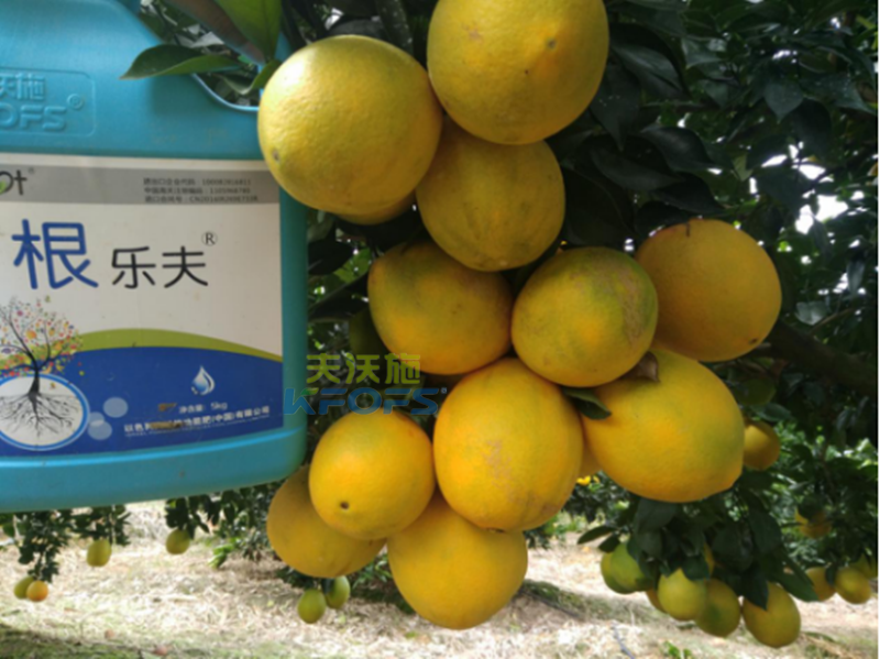 果樹(shù)沖施肥的方法和時(shí)間？