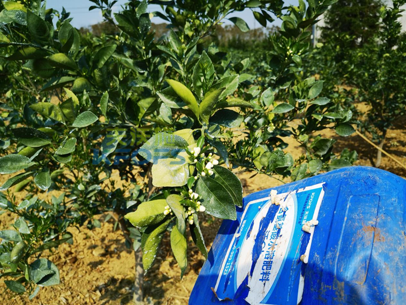 什么叫有機水溶肥-沃葉流體肥臍橙.png