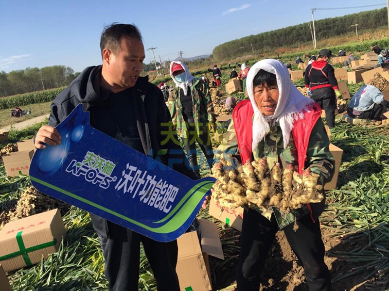微生物菌劑哪個牌子好-夫沃施沃葉.jpg