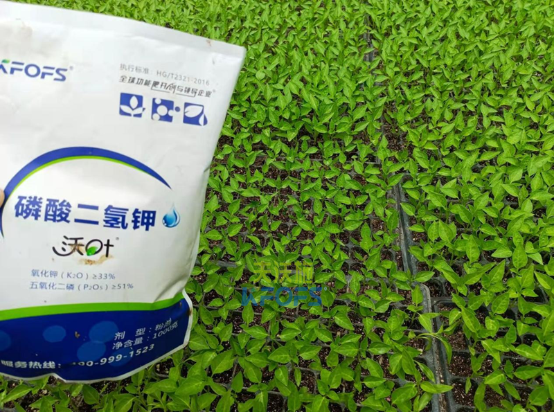 磷酸二氫鉀的使用方法，沃葉為例