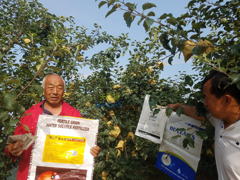 蘋果樹施什么肥好？