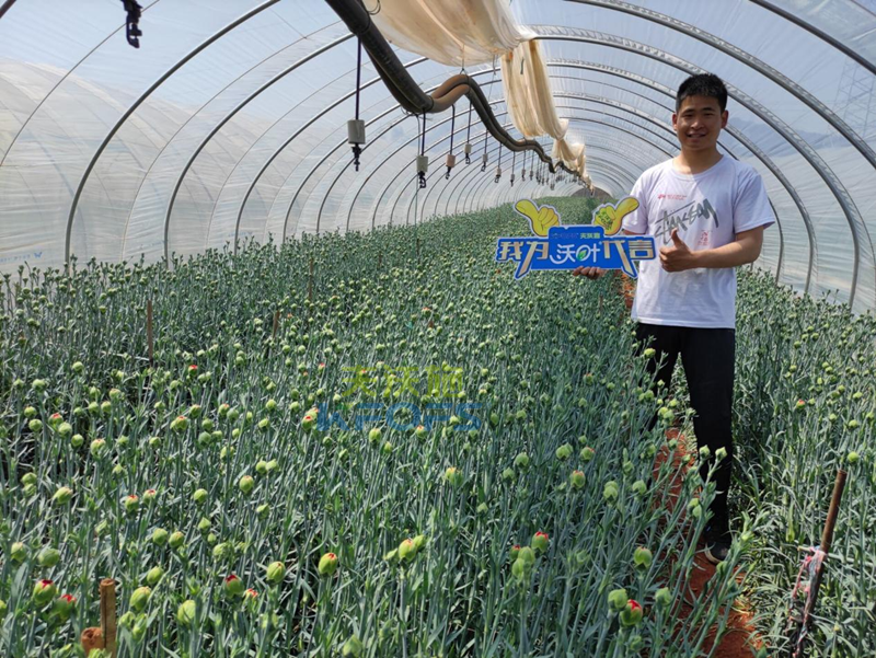 進(jìn)口水溶肥怎么選？王總的答案！