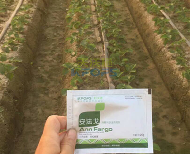 除草劑厲害是哪種？1.png