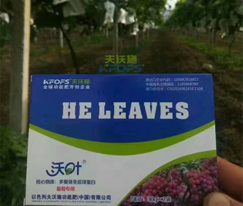 葉面肥的噴施注意事項