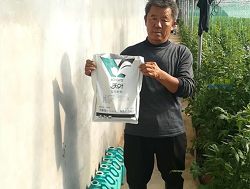 復(fù)合肥料哪種好？