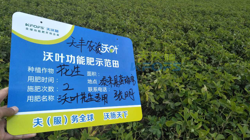 花生高產(chǎn)施肥技術(shù)!