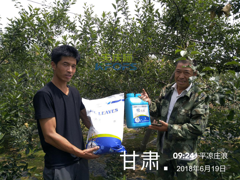 蘋果怎么施肥？