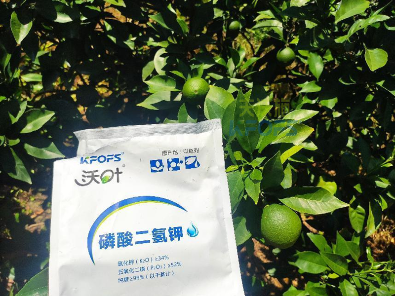 磷酸二氫鉀為什么受歡迎？